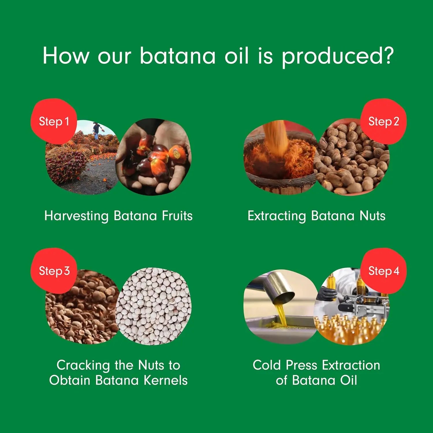 Dr. Sebi Organic Raw Honduras Oil for Hair Growth 